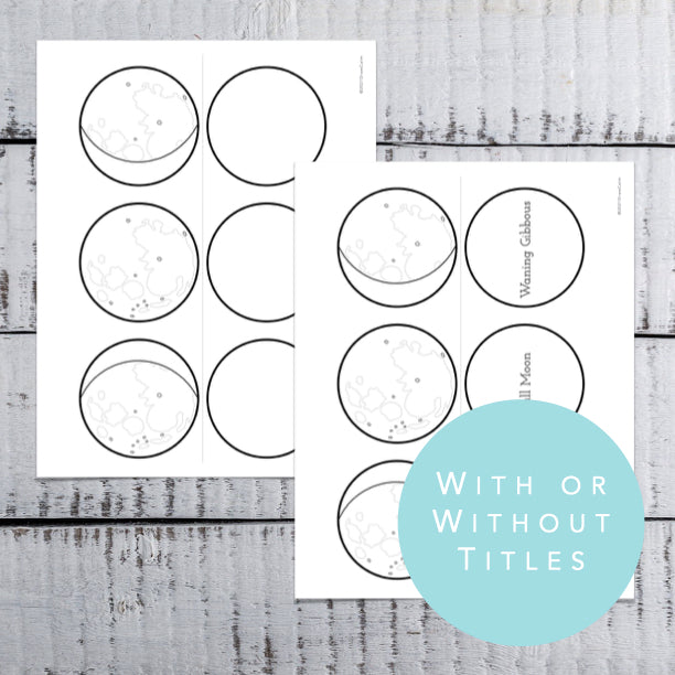Moon Phases Craft ┃Lesson on Moon Phases