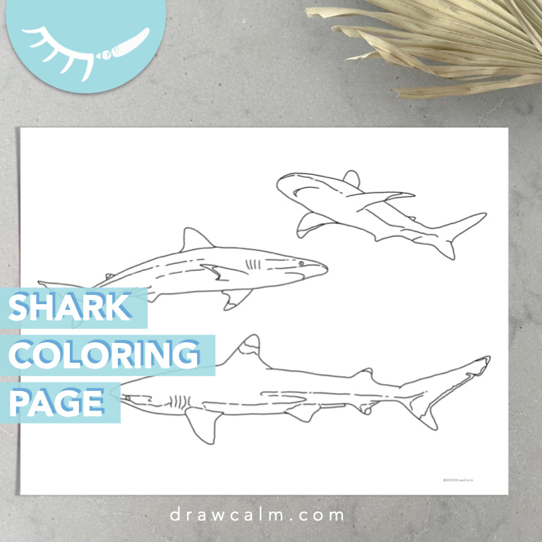 Shark Coloring Page