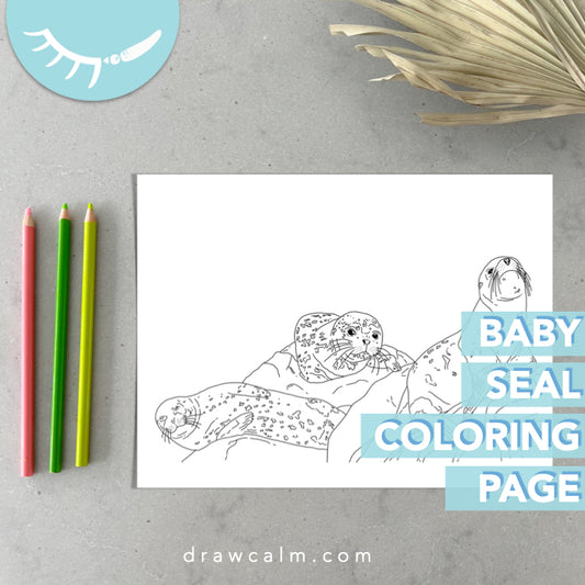 Baby Seal Coloring Page