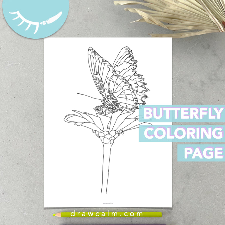 Butterfly Coloring Page for Adults