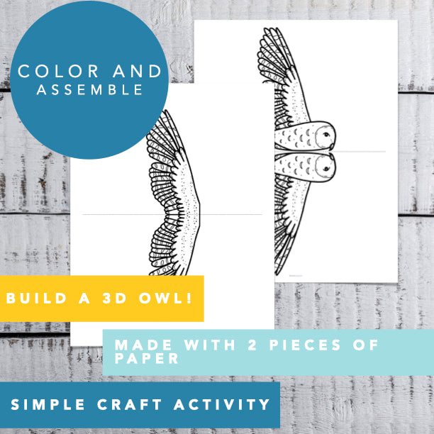 Printable Owl Craft │ Owl Coloring Sheet