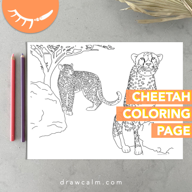 Coloring Page Cheetah