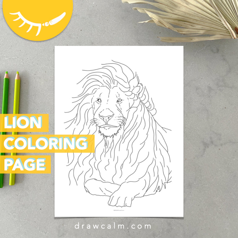 Lion Sketch Drawing: Easy, Simple, Face, Colour and Step by Step | Lion  drawing simple, Lion sketch, Lion drawing