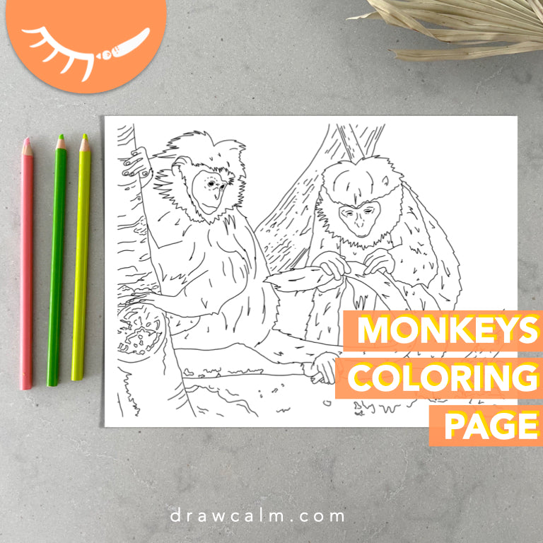 Coloring Page Monkey