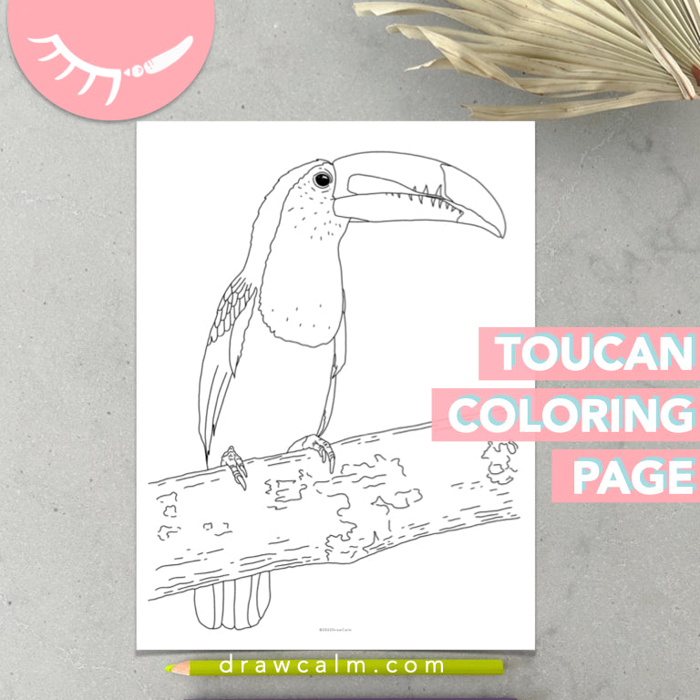 Coloring Page of Toucan