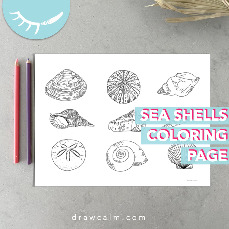 Coloring Page Sea Shell