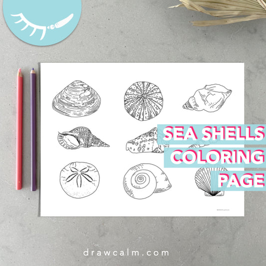 Coloring Page Sea Shell