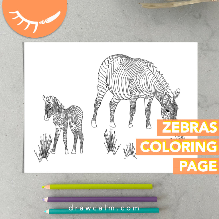 Coloring Page Zebra