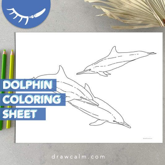 Dolphin Coloring Page Printable