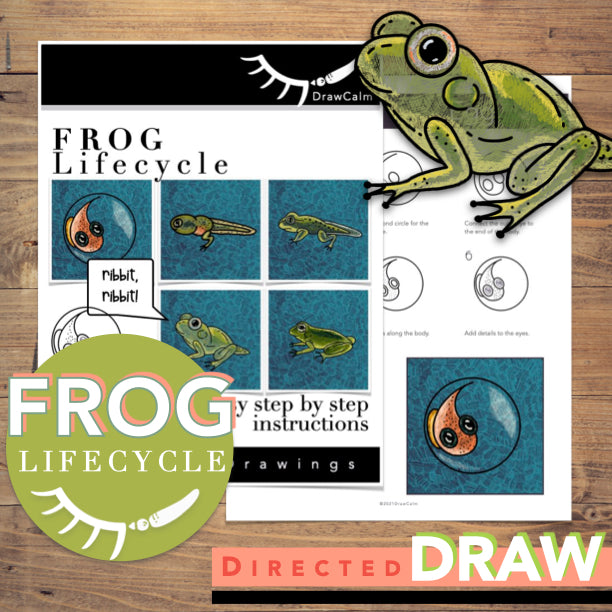 Frog Life Cycle Activity