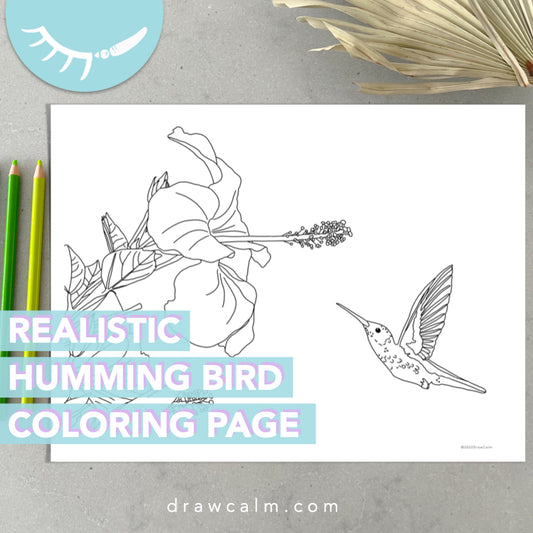 Humming Bird Coloring Page