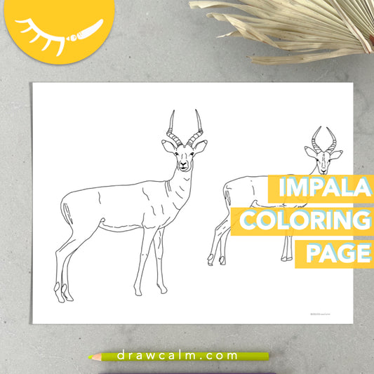 Impala Coloring