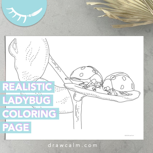Ladybug Coloring Sheet