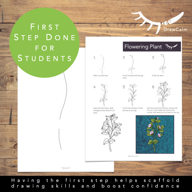 Life Cycle of a Bean Plant Printables │ Plant Directed Drawings