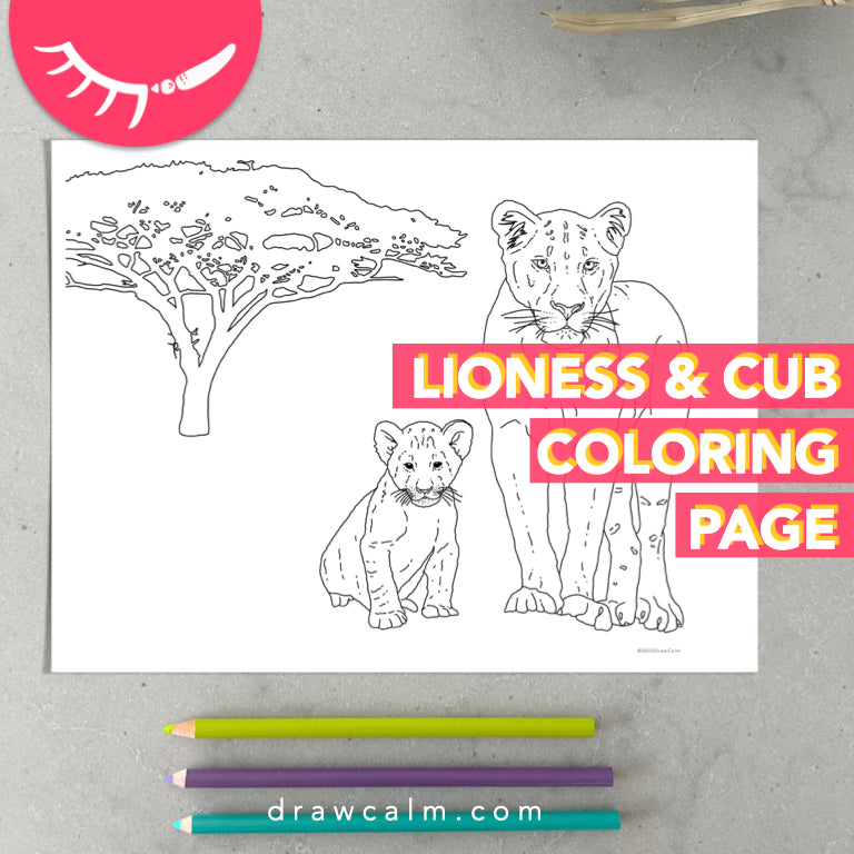 Lioness Coloring Page