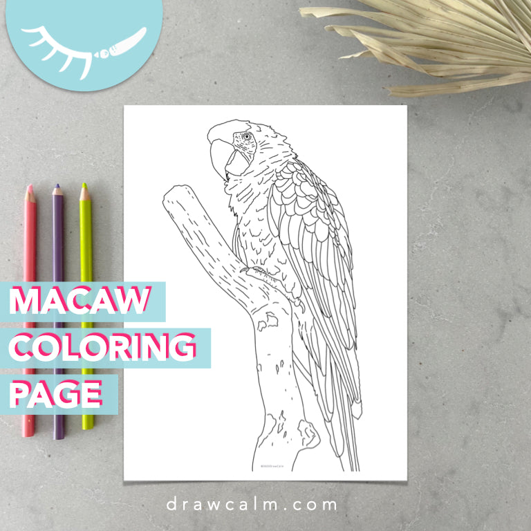 Macaw Coloring Sheet