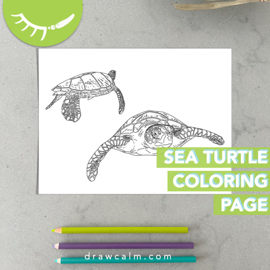 Swimming Turtle Coloring Page