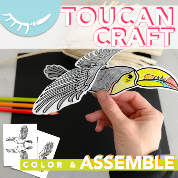 Toucan Craft | Zoo Animals Craft | Toucan Coloring Page | Rainforest Activity