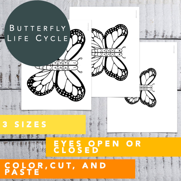 Butterfly | Paper Craft